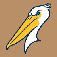 Myrtle Beach Pelicans Vintage Hoodie | Teevron