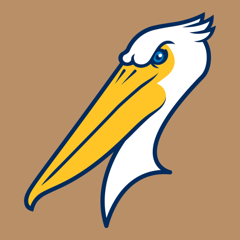 Myrtle Beach Pelicans Vintage Hoodie by linhVisuals | Teevron