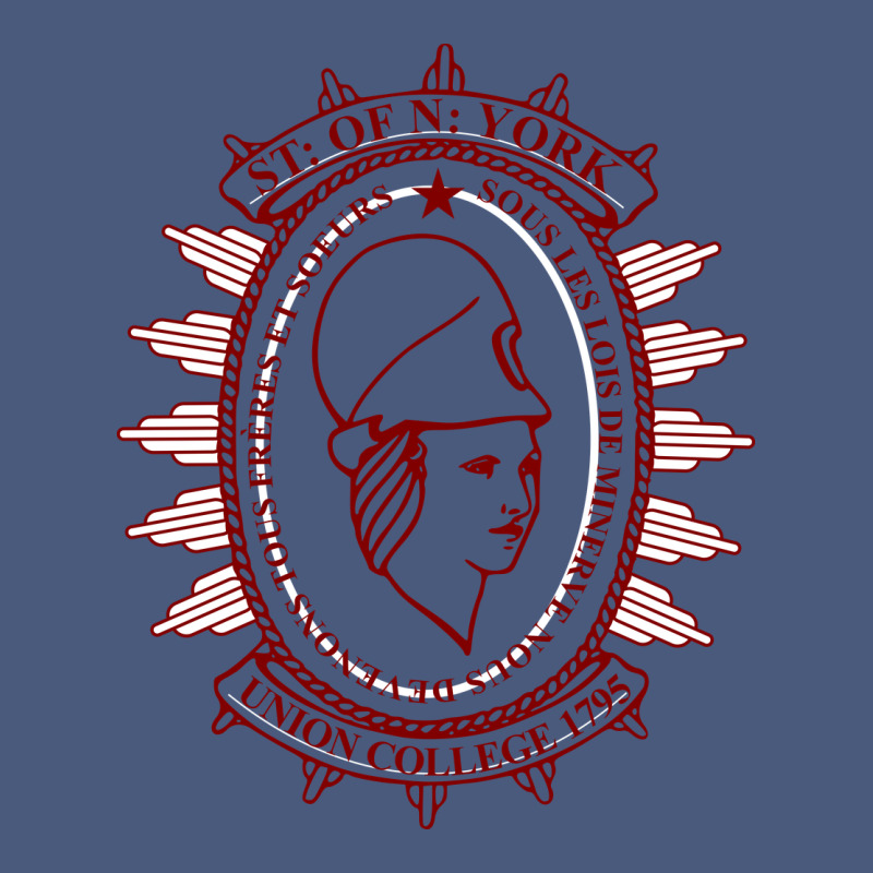 Union College Vintage Hoodie by linhVisuals | Teevron