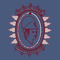 Union College Vintage Hoodie | Teevron