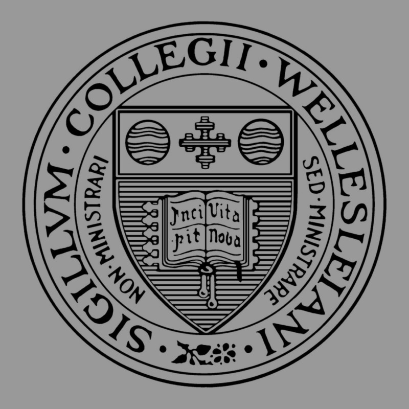 Wellesley College Vintage Hoodie by linhVisuals | Teevron