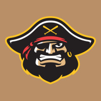 Bradenton Marauders Vintage Hoodie | Teevron