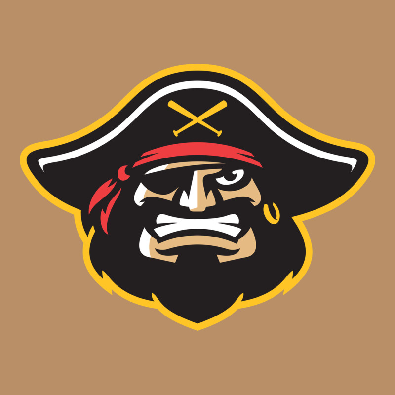 Bradenton Marauders Vintage Hoodie by linhVisuals | Teevron