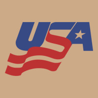 Usa Hockey Simple Vintage Hoodie | Teevron
