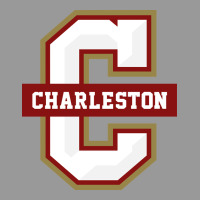 The Charleston Cougars Vintage Hoodie | Teevron
