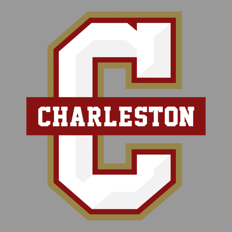 The Charleston Cougars Vintage Hoodie by linhVisuals | Teevron