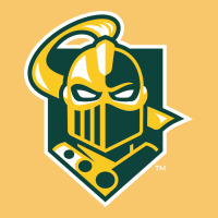 The Clarkson Golden Knights Vintage Hoodie | Teevron