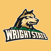 Wright State Vintage Hoodie | Teevron