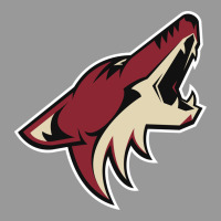 The-coyotes-of-arizona-sporst Vintage Hoodie | Teevron