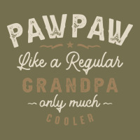 Mens Pawpaw Like A Regular Grandpa Funny Fathers Day Vintage Hoodie | Teevron