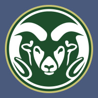The Colorado State Rams Vintage Hoodie | Teevron