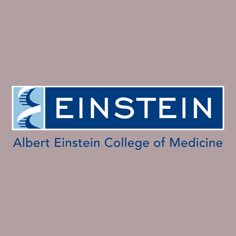 Albert Einstein College Of Medicine Vintage Hoodie by linhVisuals | Teevron