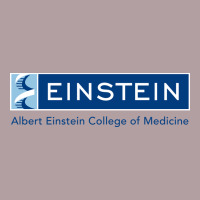 Albert Einstein College Of Medicine Vintage Hoodie | Teevron