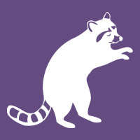 Raccoon Vintage Hoodie | Teevron