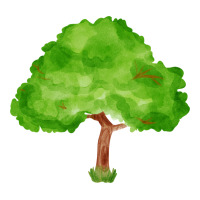 tree fa element 1 | Teevron