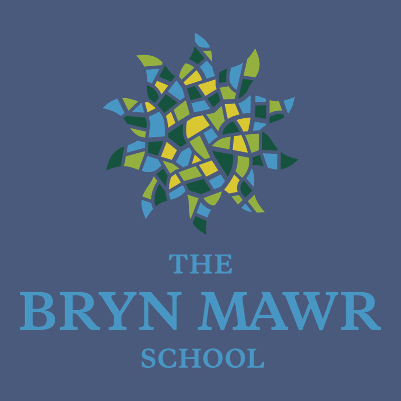 Bryn Mawr School Vintage Hoodie by linhVisuals | Teevron