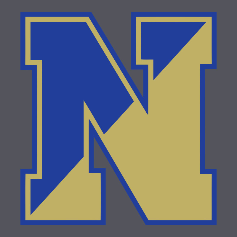 Norwell High School Vintage Hoodie by linhVisuals | Teevron
