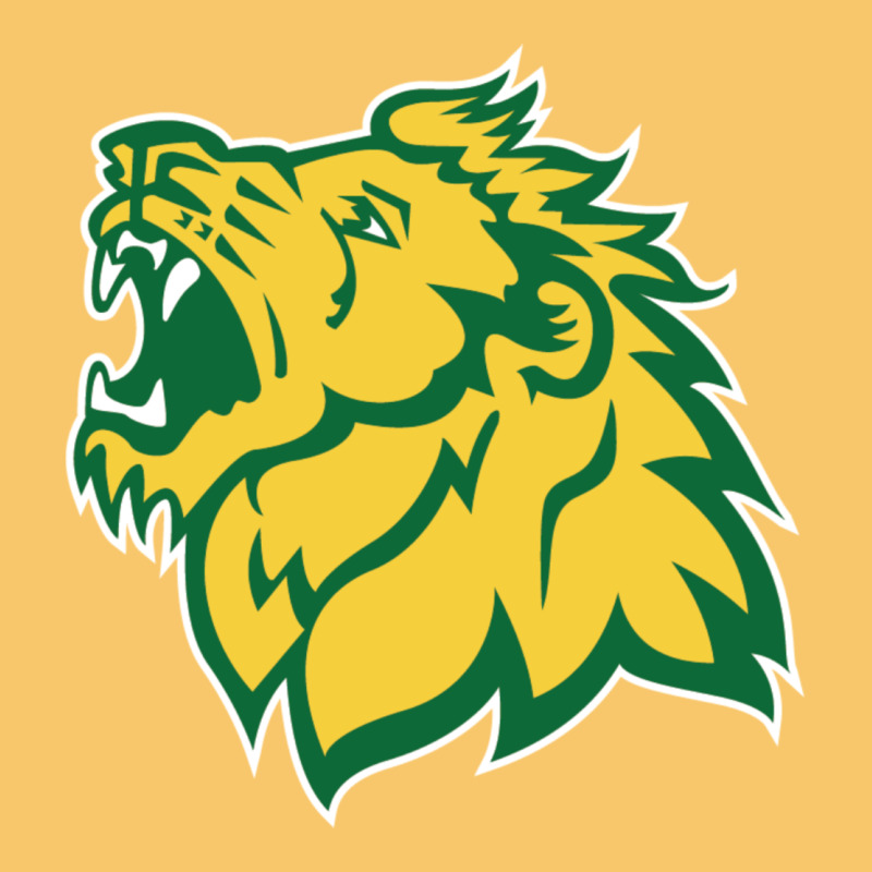 Missouri Southern, Mssu Lions Vintage Hoodie by linhVisuals | Teevron