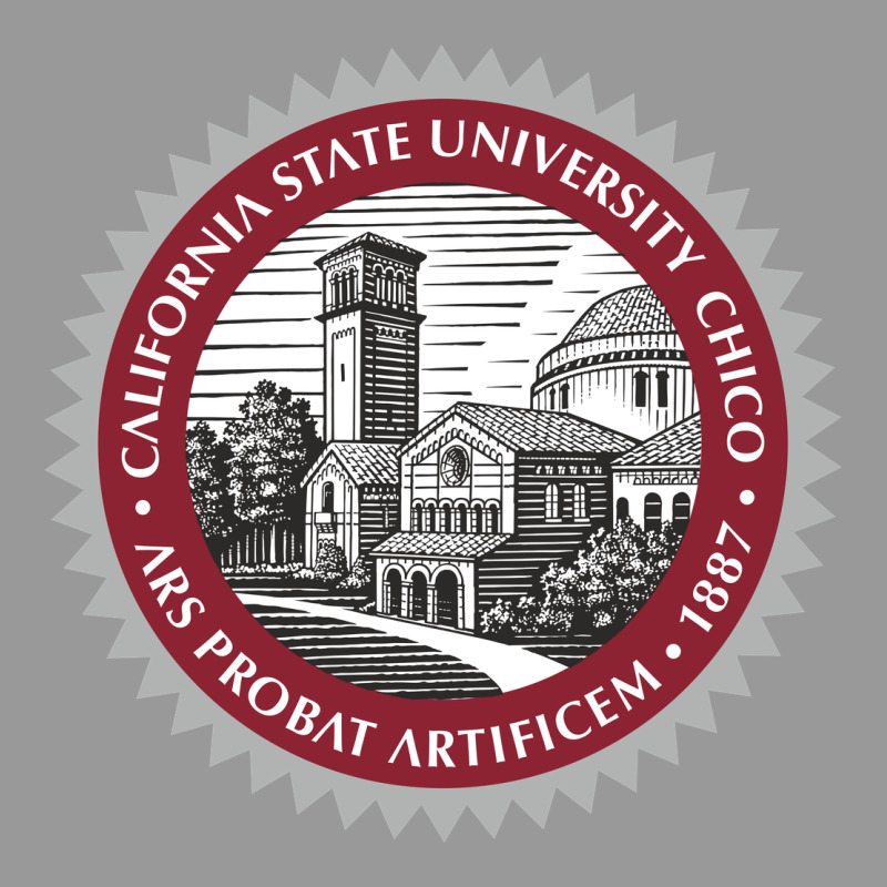 Csu Chico Seal Vintage Hoodie by linhVisuals | Teevron