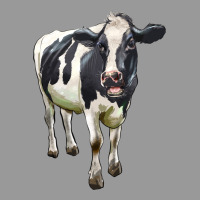 Holstein Bull Vintage Hoodie | Teevron