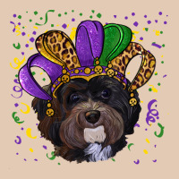 Mardi Gras Havanese Dog With Hat Urban Hoodie | Teevron