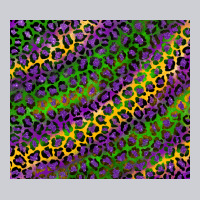 Mardi Gras Leopard Urban Hoodie | Teevron
