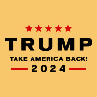 Donald Trump 2024 Take America Back Vintage Hoodie | Teevron