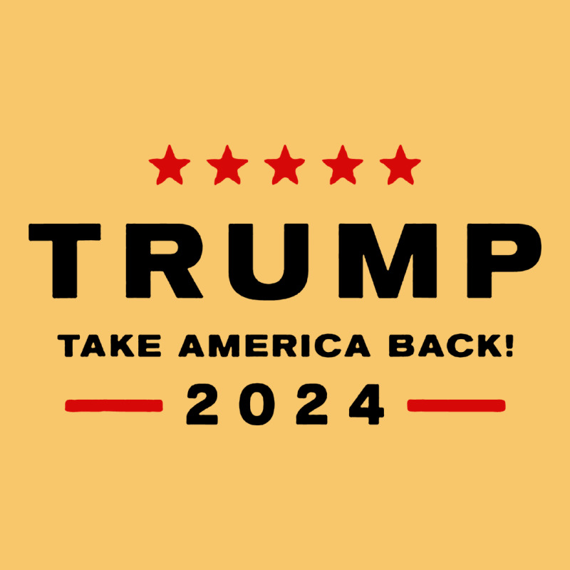 Donald Trump 2024 Take America Back Vintage Hoodie by baoMotion | Teevron