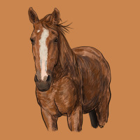 Brown Horse Heavyweight Hoodie | Teevron