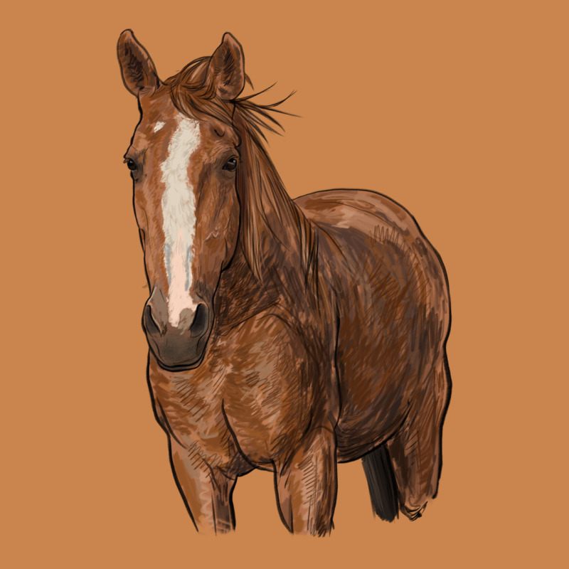 Brown Horse Heavyweight Hoodie by RanaPortraitStore | Teevron