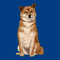 Shiba Inu Premium Sweatshirt | Teevron
