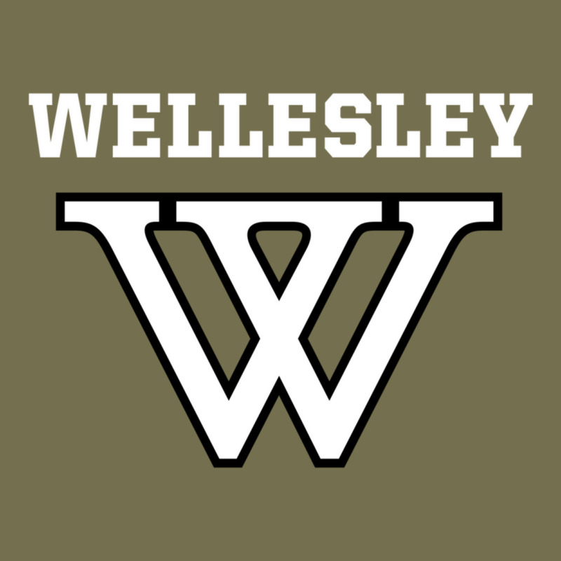 Wellesley Vintage Hoodie by baoMotion | Teevron