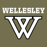 Wellesley Vintage Hoodie | Teevron