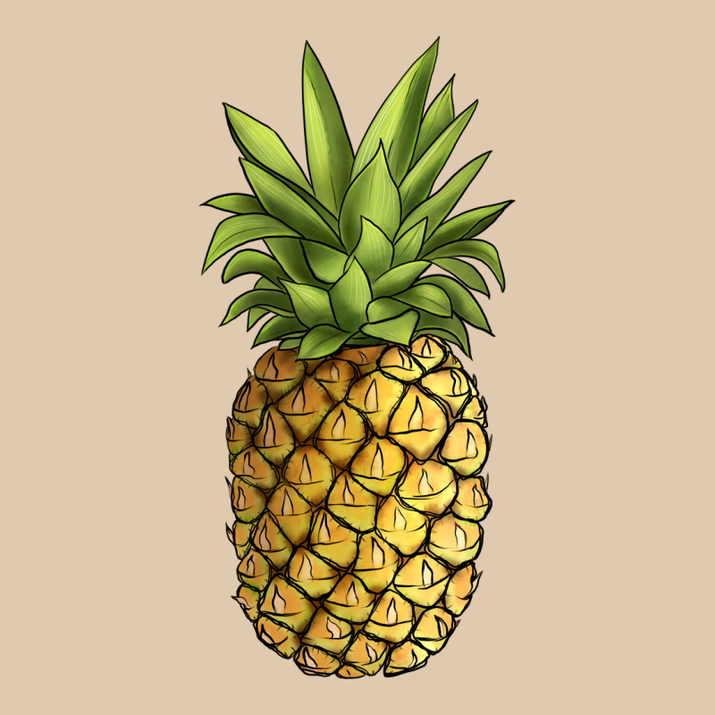 Pineapple Heavyweight Sweatshirt by JahusDesignShop | Teevron