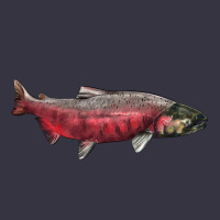 Chinook Salmon Fish Illustrations Vintage Hoodie | Teevron