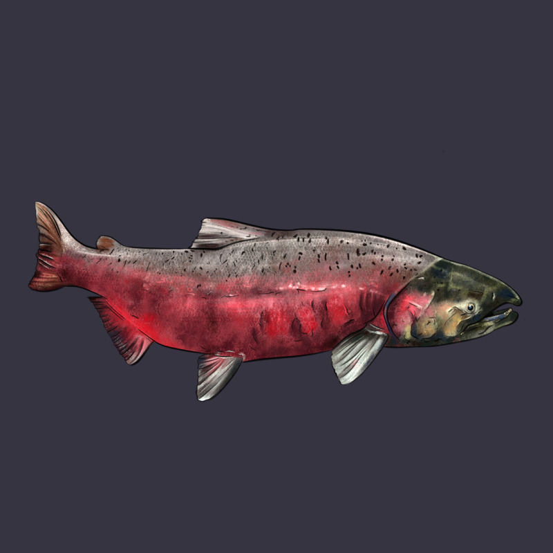 Chinook Salmon Fish Illustrations Vintage Hoodie by LillyAllenDesigns | Teevron
