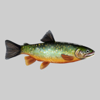 Greenback Cutthroat Trout Fish Premium Tee | Teevron