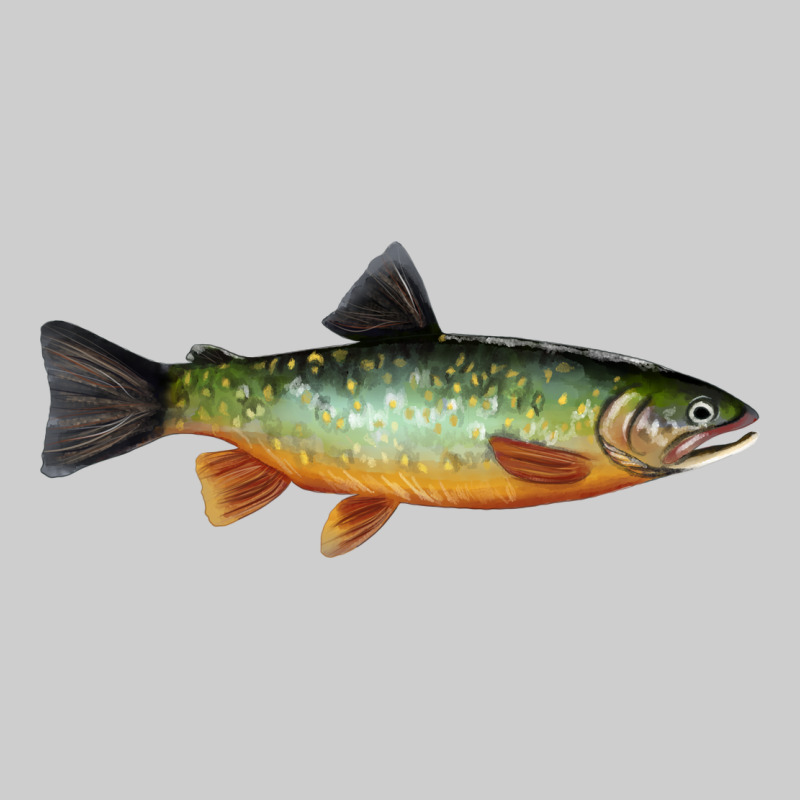 Greenback Cutthroat Trout Fish Premium Tee by RanaPortraitStore | Teevron