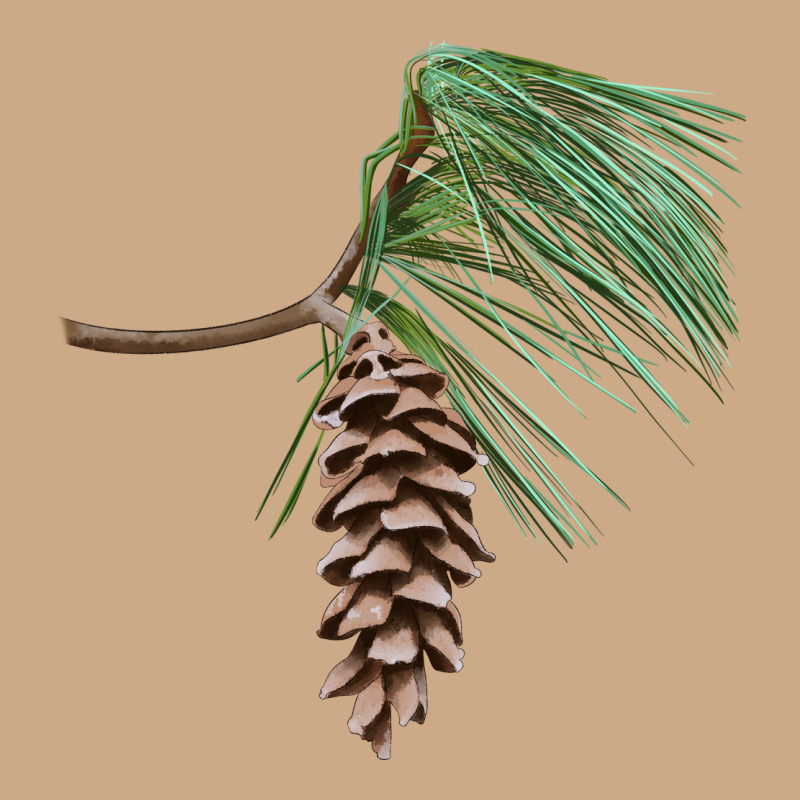 White Pine Cone Vintage Hoodie by LillyAllenDesigns | Teevron