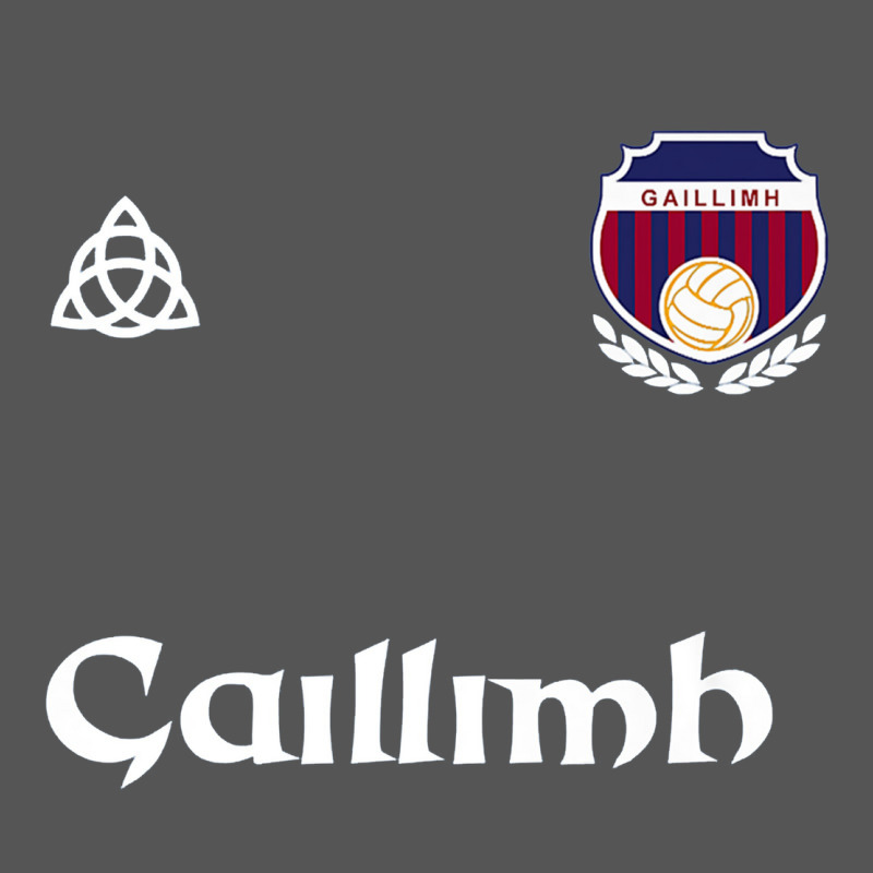 Galway Gaillimh Irish Gaelic Football And Hurling Premium Zipper Hoodie by DesignPulse | Teevron