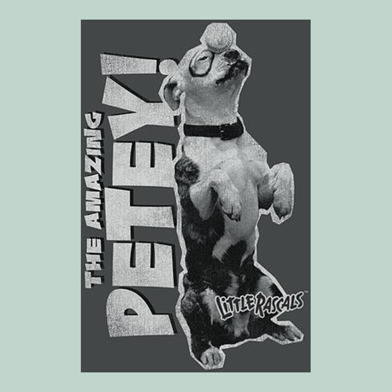 Little Rascals, Amazing Petey Zipper Hoodie by InspiraDesign | Teevron