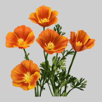 California Poppy Flower Premium Tee | Teevron