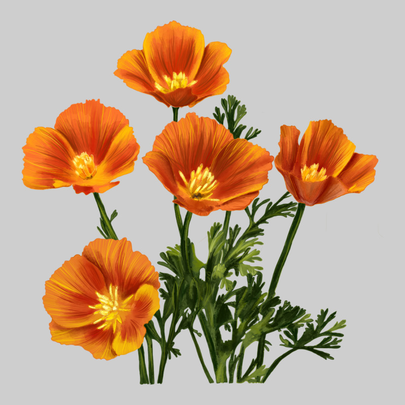 California Poppy Flower Premium Tee by RanaPortraitStore | Teevron