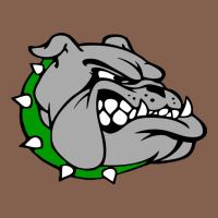 Ashville High School, Ashville Bulldogs Zipper Hoodie | Teevron