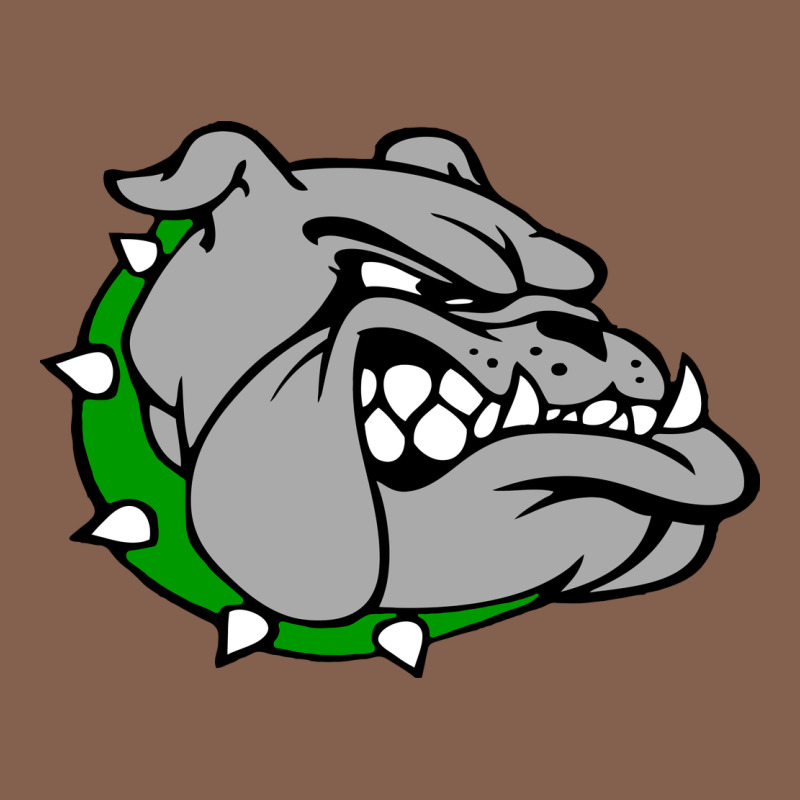 Ashville High School, Ashville Bulldogs Zipper Hoodie by PixelFlow | Teevron