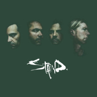 Elektra Staind Zipper Hoodie | Teevron