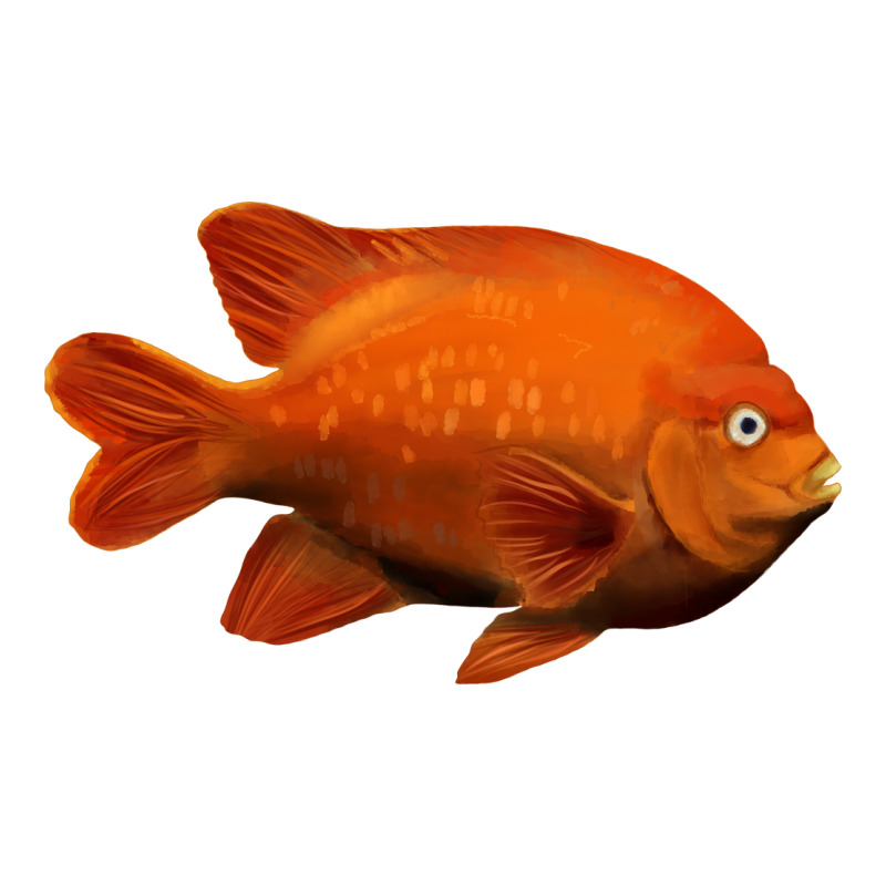 California Garibaldi Fish Premium Tee by RanaPortraitStore | Teevron