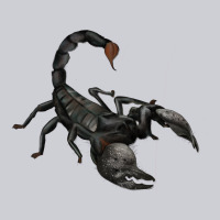 Scorpion Heavyweight Sweatshirt | Teevron