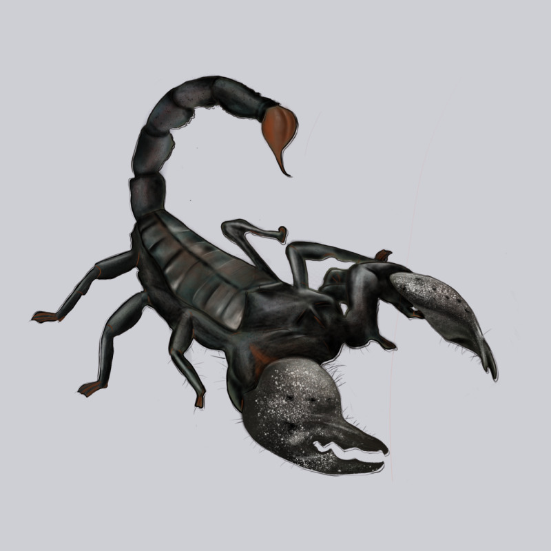 Scorpion Heavyweight Sweatshirt by JahusDesignShop | Teevron