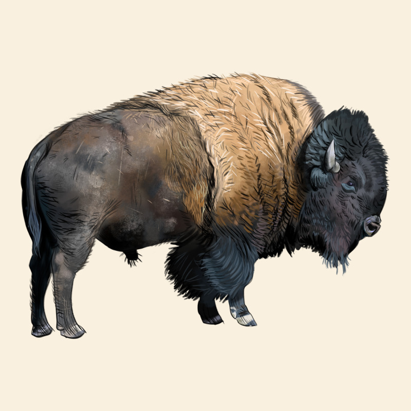 Bison Buffalo Vintage Hoodie by LillyAllenDesigns | Teevron